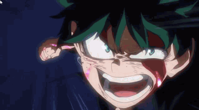 IZUKU MIDORIYA FAN