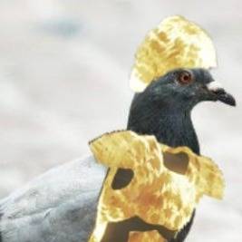 LegendaryPigeon18