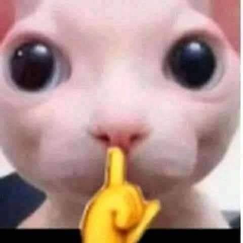 Kdongy