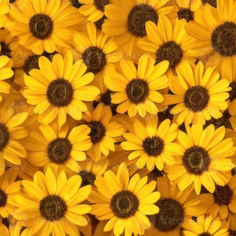 lovely_flower