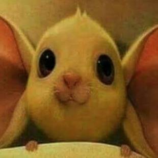 Small mice