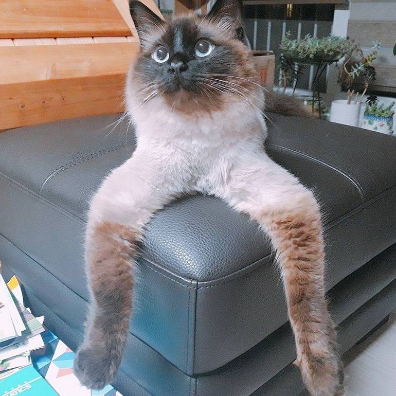 Max 