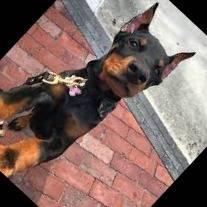 Err0R_DoBeRMan
