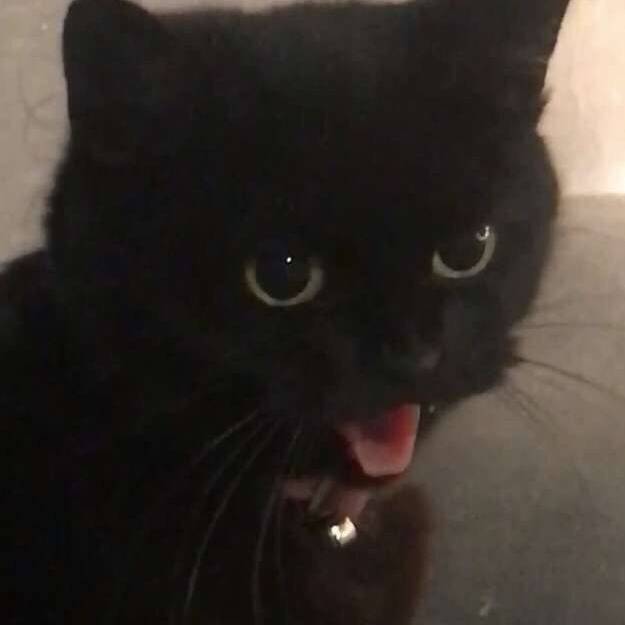 Dixon