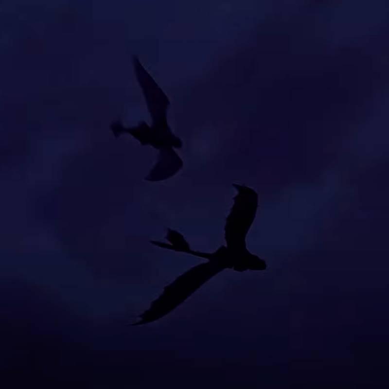 oncetherewere_dragons