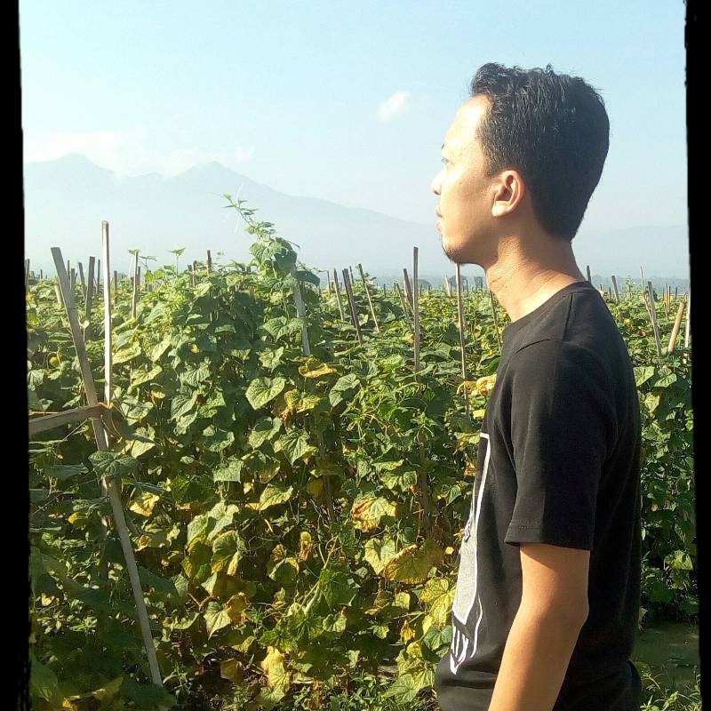Prima Yudha