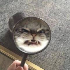 Www