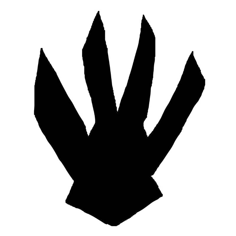 Xano