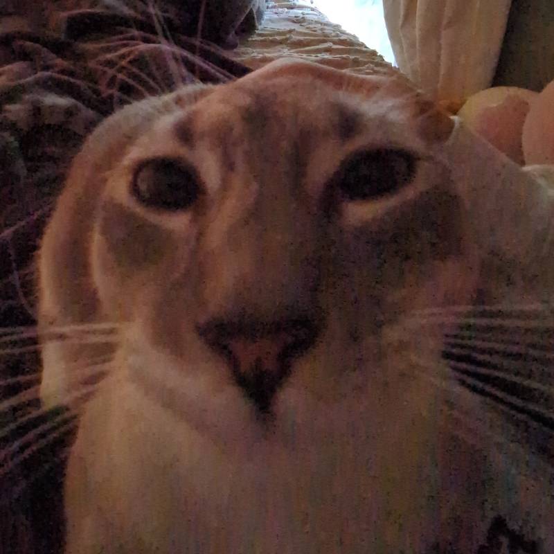 Kate