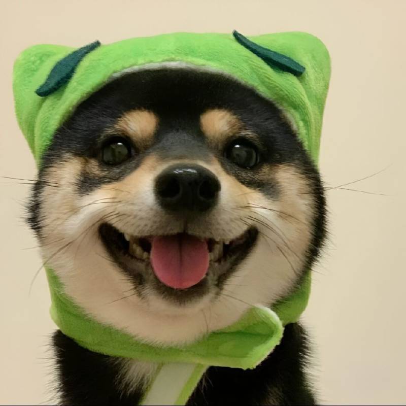 鲸鱼