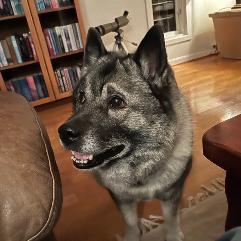 Mya 