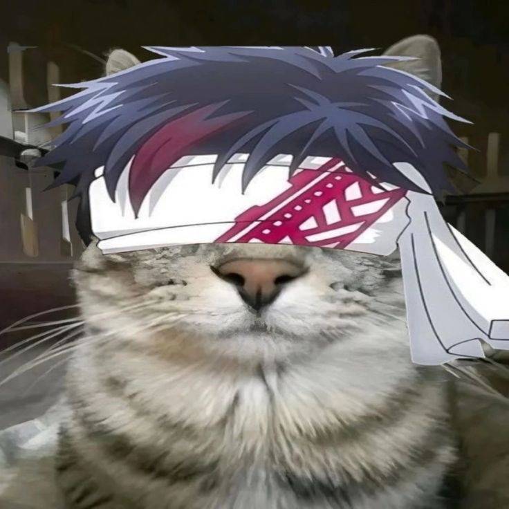 Ken