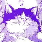 Vel <3