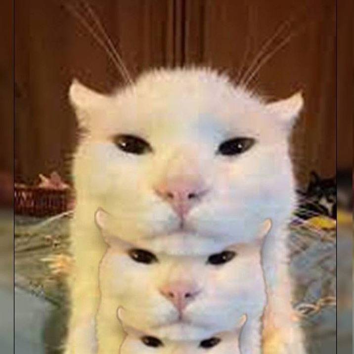 ?!?