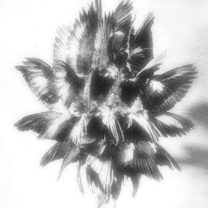 Kamlowski