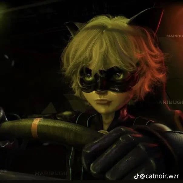 Cat noir thumbnail
