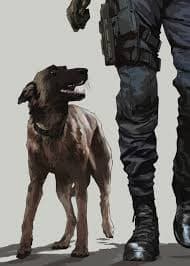 Task Force 141 (Dog AU) thumbnail