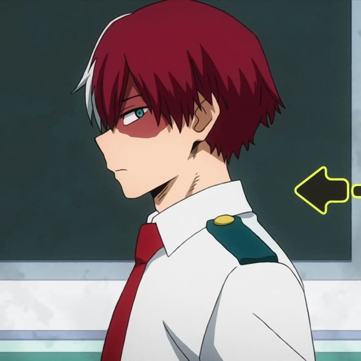 Shoto Todoroki thumbnail