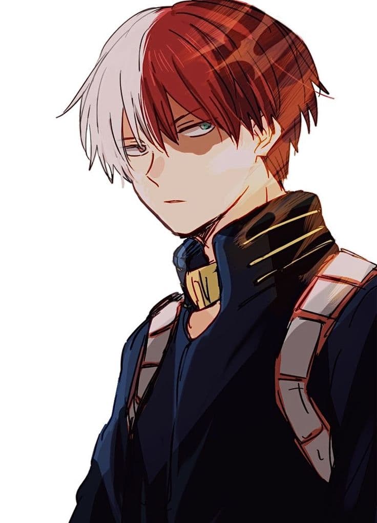 Shoto Todoroki thumbnail