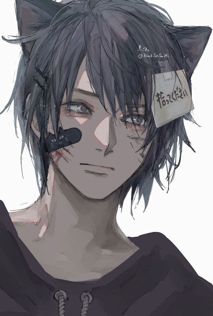 Hachi : Stray Catboy thumbnail