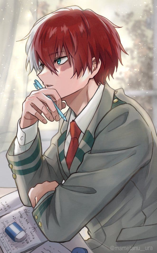 Shoto Todoroki thumbnail