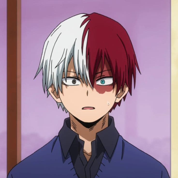 Shoto Todoroki thumbnail