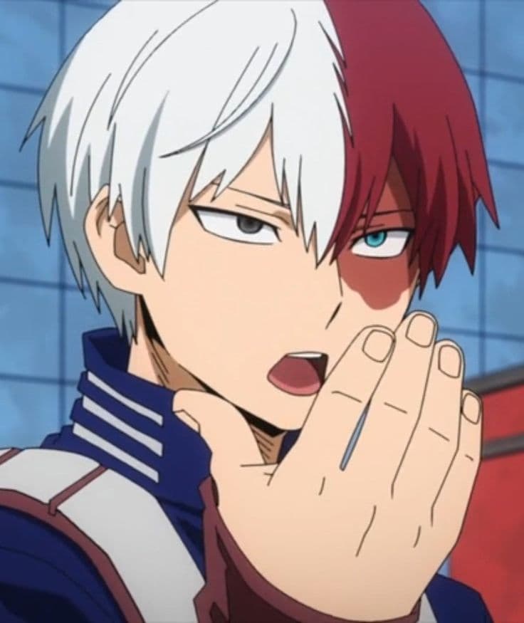 Shoto Todoroki thumbnail