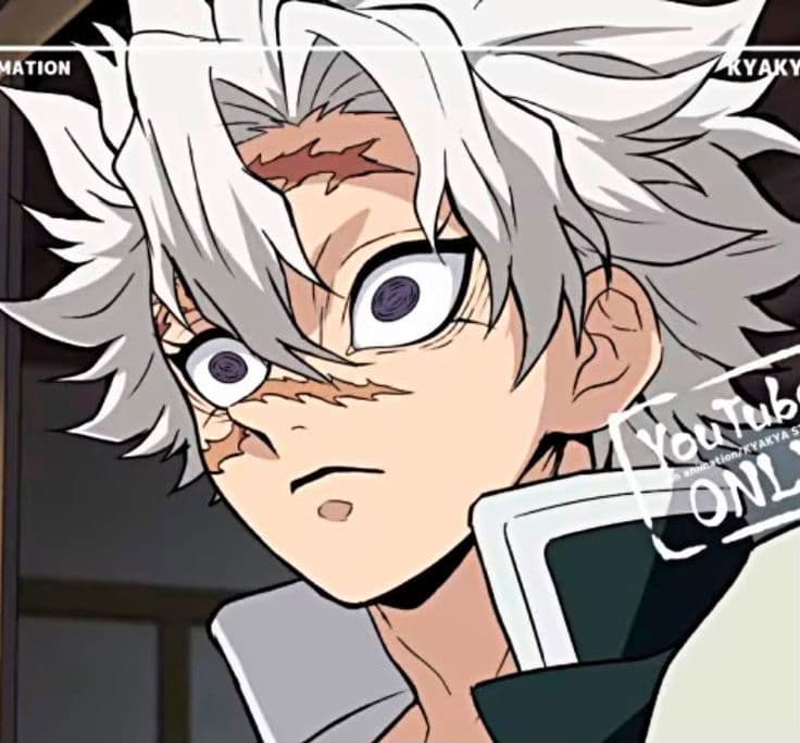 Sanemi Shinazugawa thumbnail