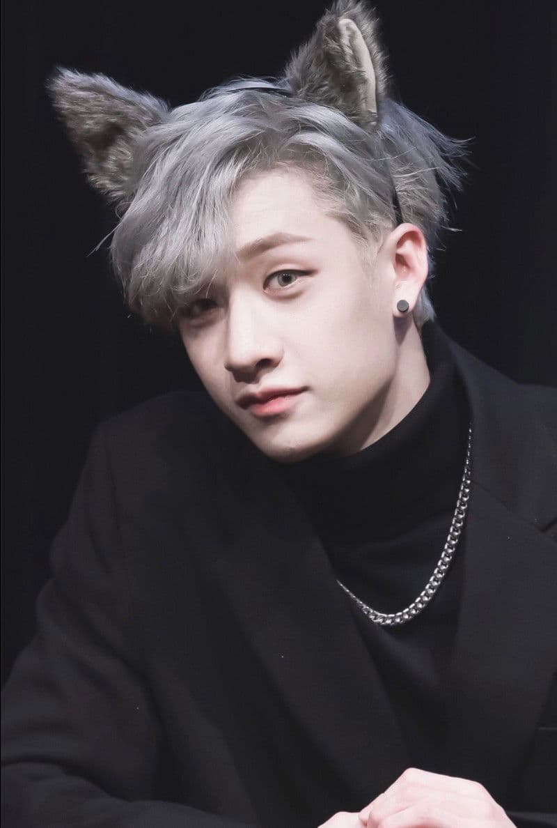 Bangchan (Werewolf) (Alpha) thumbnail