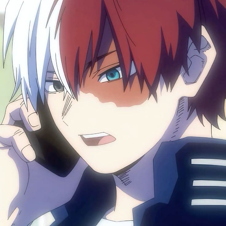 Shoto Todoroki thumbnail