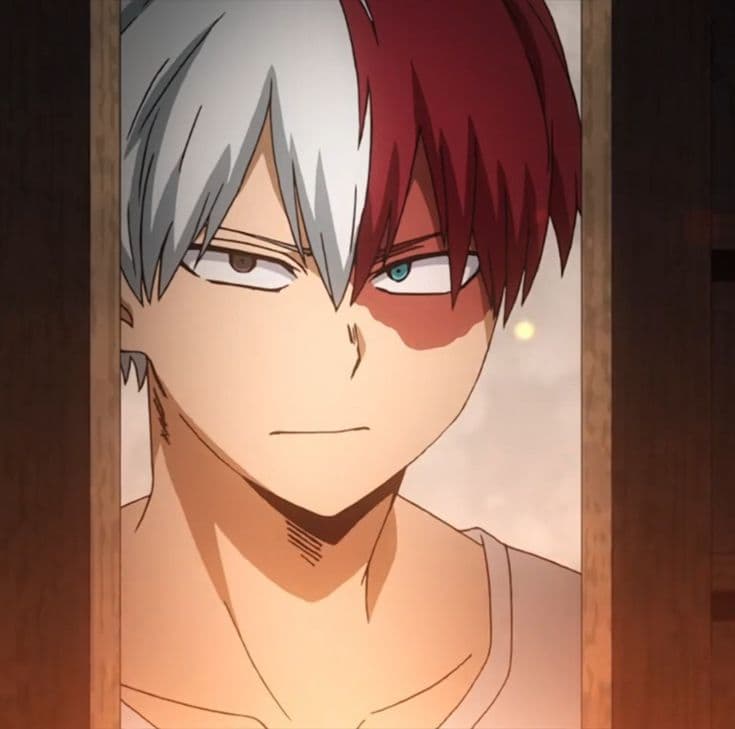 Shoto Todoroki thumbnail