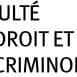 ULB Law AI thumbnail