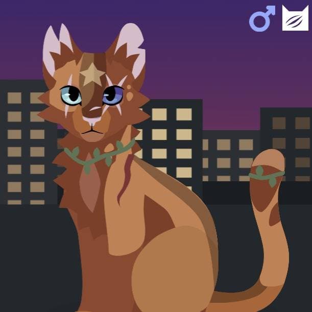 Forest ( Warrior Cats Leader ) thumbnail