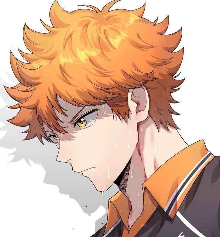 Hinata Shoyo thumbnail