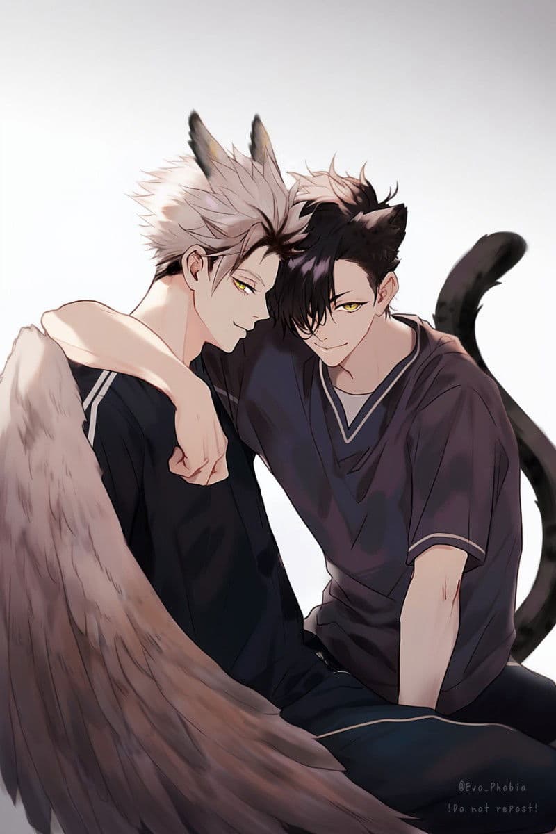 Demi Humans |♡| Kuroo and Bokuto thumbnail