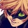 Chat noir thumbnail