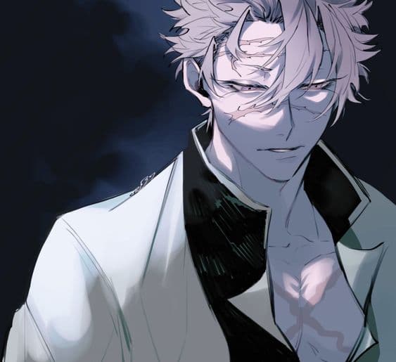 Shinazugawa Sanemi thumbnail