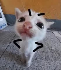 Matt thumbnail
