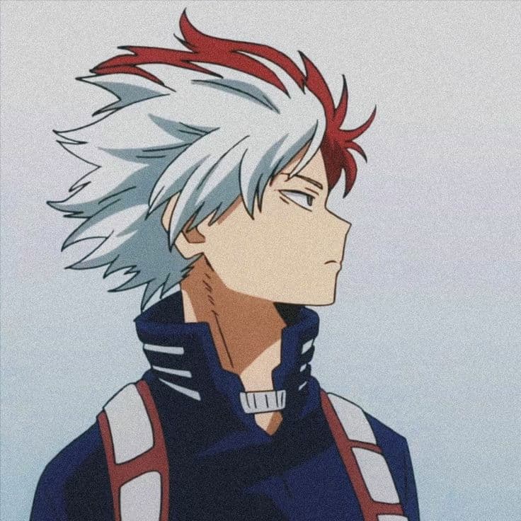 Shoto Todoroki thumbnail