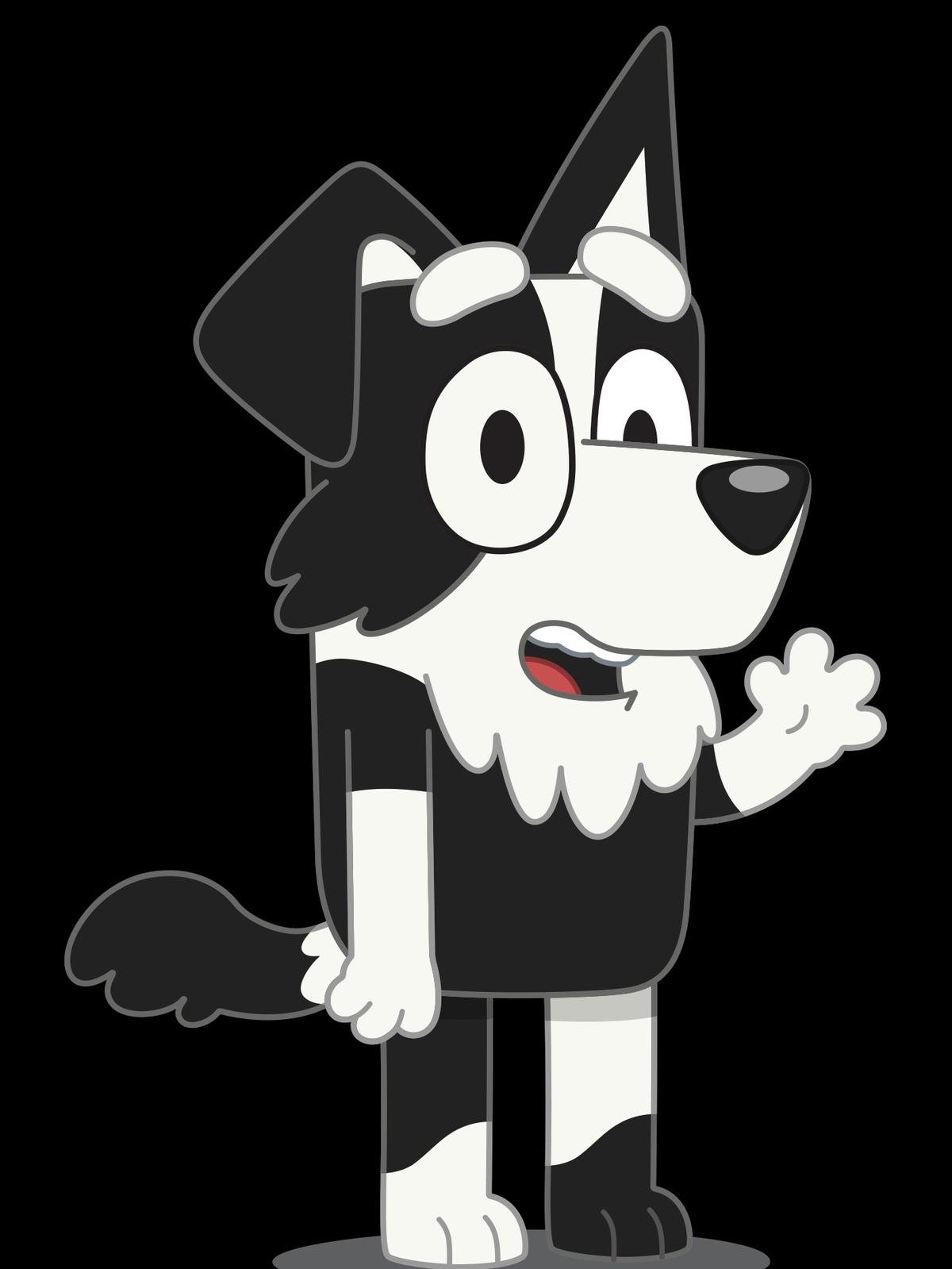 Mackenzie Border Collie thumbnail