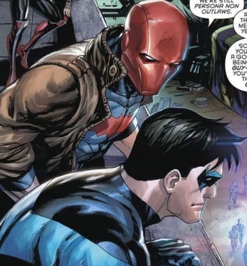 Nightwing and Red Hood thumbnail