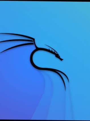 Kali Linux Terminal thumbnail