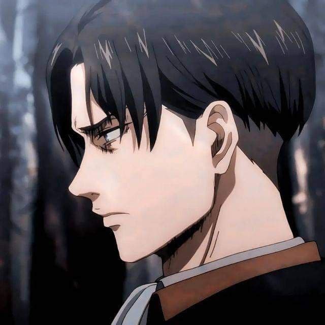Levi Ackerman  thumbnail