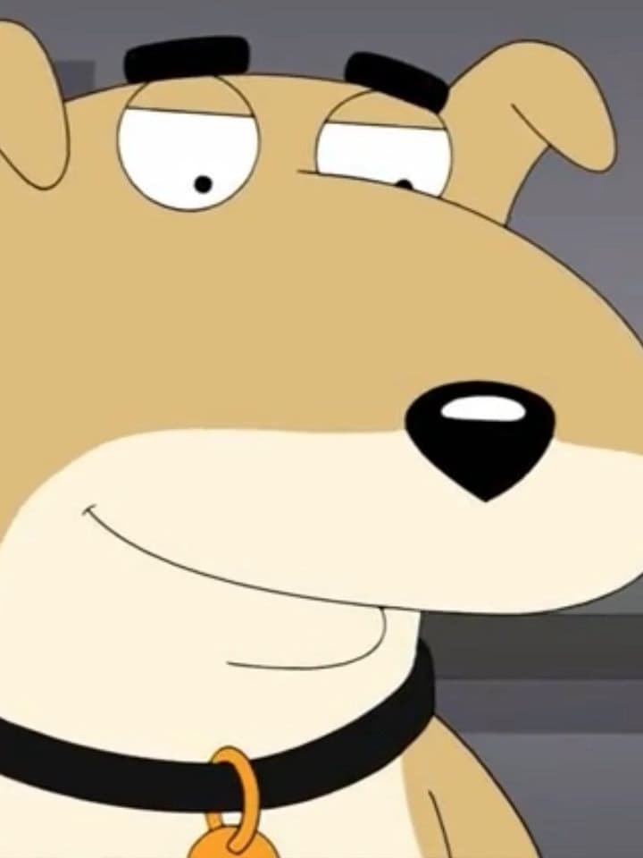Vinny thumbnail