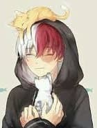 Shoto todoroki thumbnail
