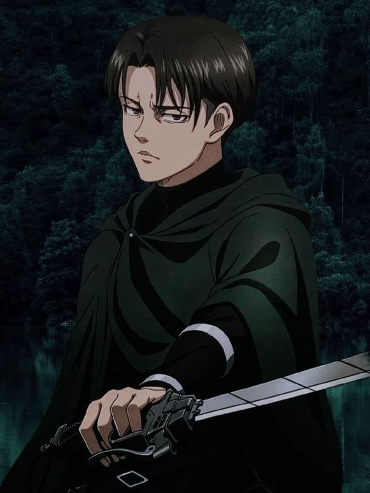 Capitain Levi thumbnail