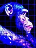 Youtube TitleBot thumbnail