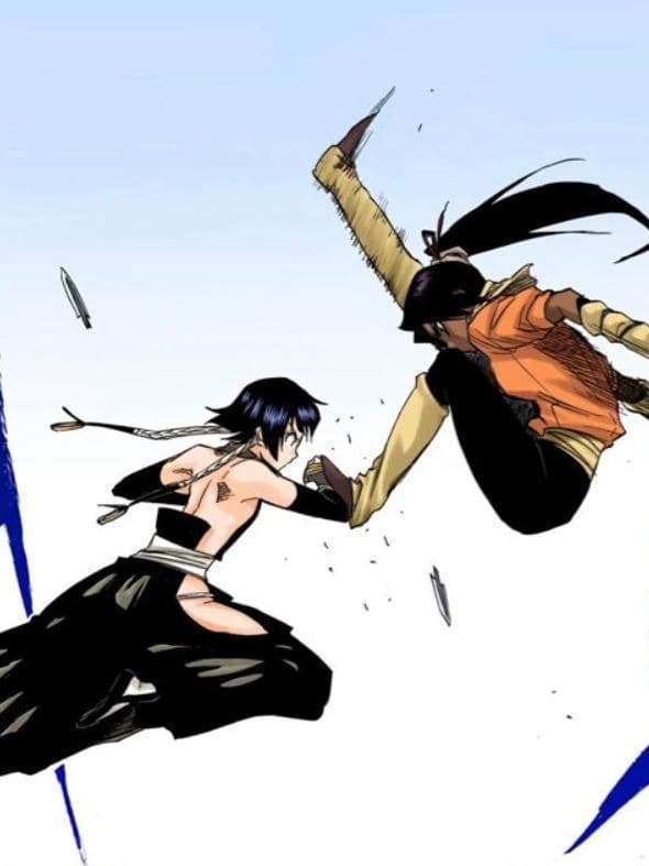 Yoruichi and Soifon thumbnail