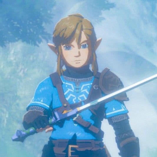 Link ( Post BOTW, PRE-TOTK ) Age 20 thumbnail