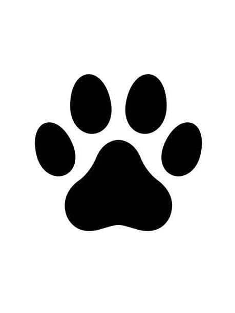 Furry Generator thumbnail